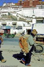 Tibet (86 von 257).jpg